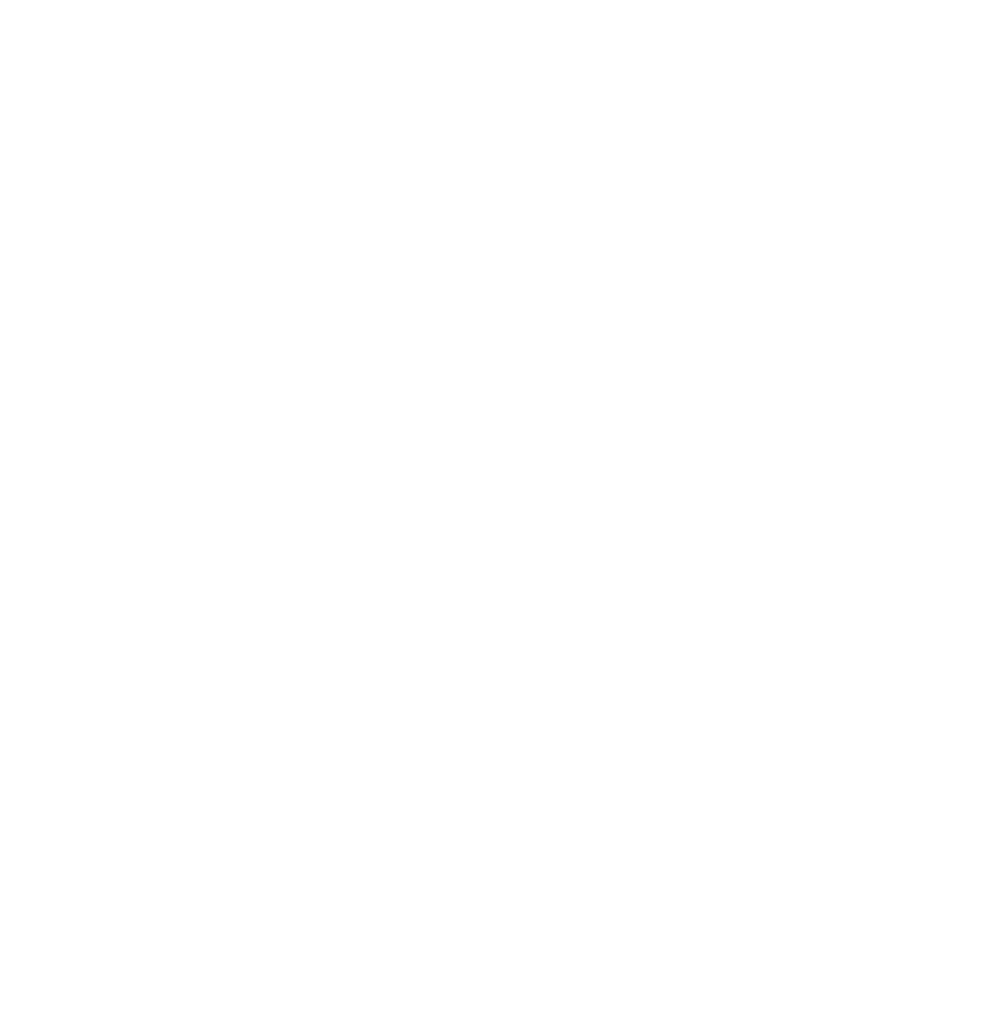 Logo DC Control blanc