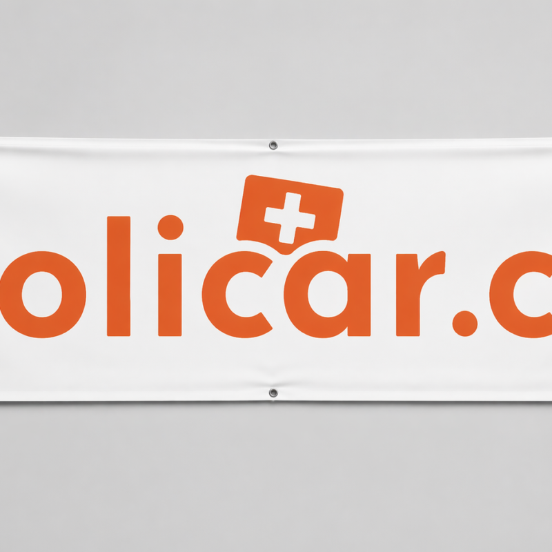 rolicar.ch